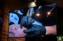 Thumbs/tn_Boerenfamiliematinee 2025 099.jpg